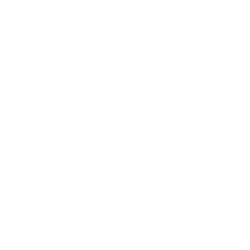 dh_logo_dfw_stroke_w